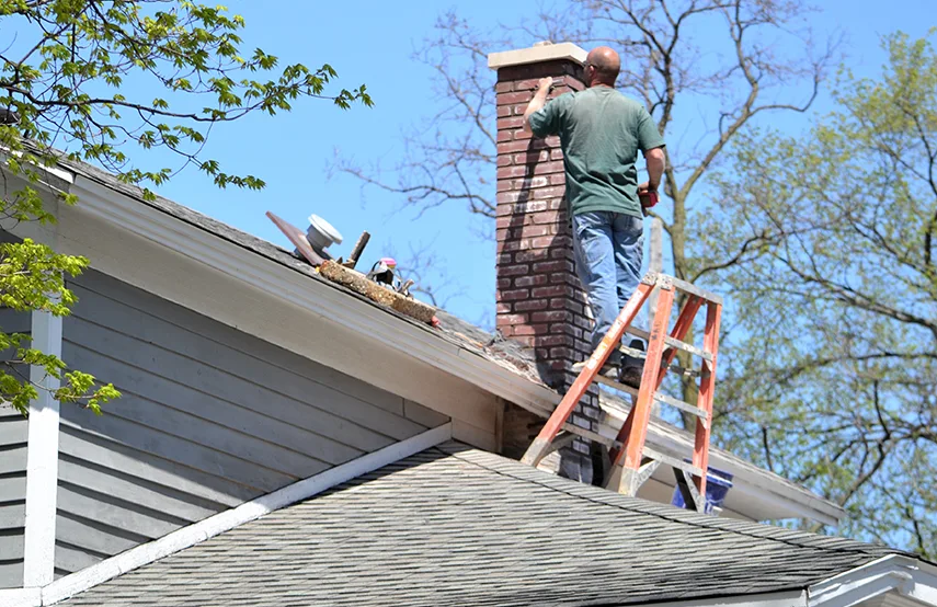 Chimney & Fireplace Inspections Services in Golden Glades, FL